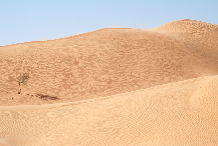 The Empty Quarter, Oman, 2006