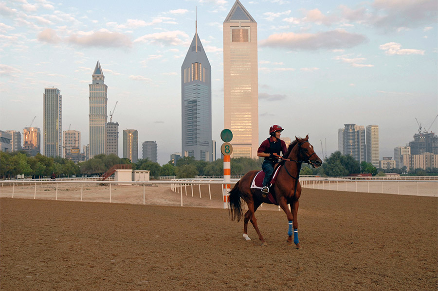 Race course, Dubai, 2007