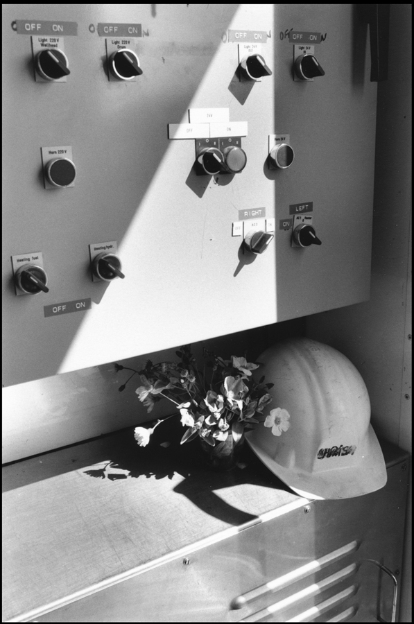 Control box and flowers of the meadow.