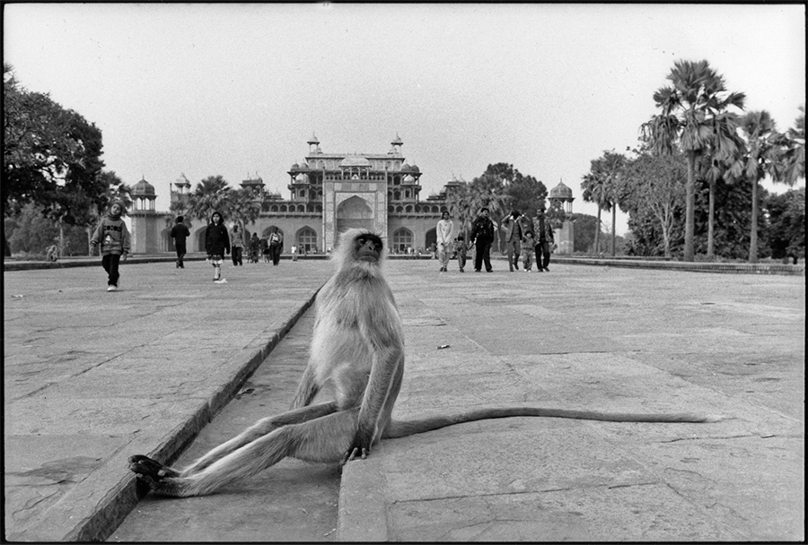 Akbar’s tomb, Sikandra, 1995