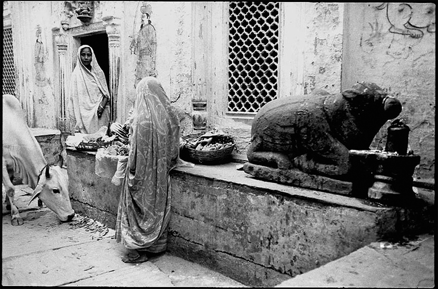 Women and image of Nandi, Benares, 1985