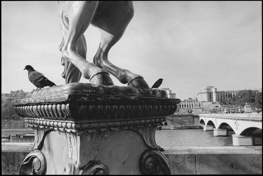 Pont d’Iena and Palais de Chaillot. Wooden merry go round horse on Quai Branly, 2001