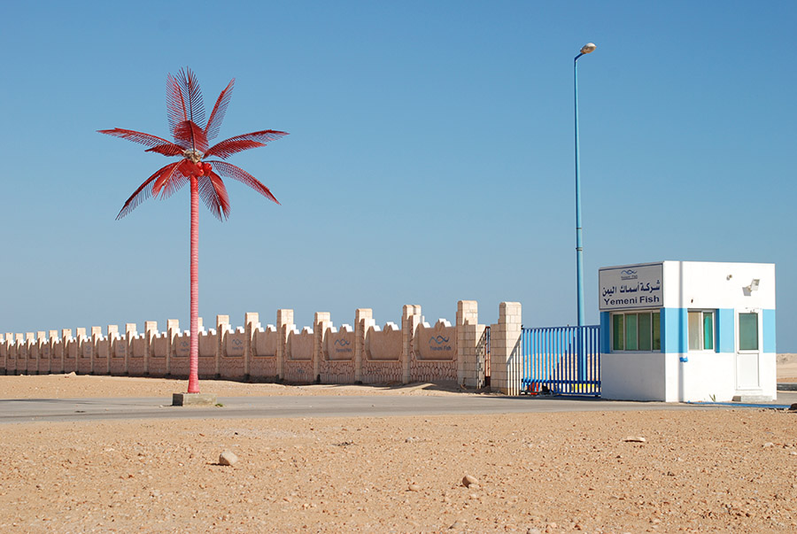 As Shir, Hadramawt, Yemen, 2007