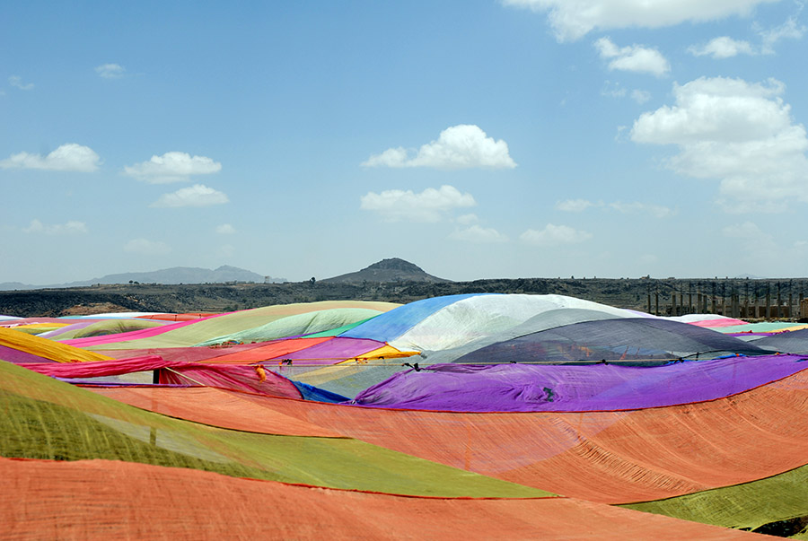 Qat field, Dhamar, Yemen, 2007