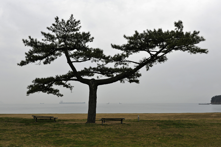 Naoshima, Japan, 2015