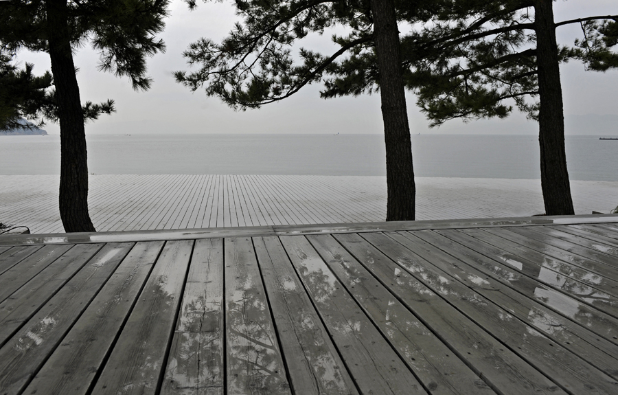 Benesse Park, Naoshima, Japan, 2015