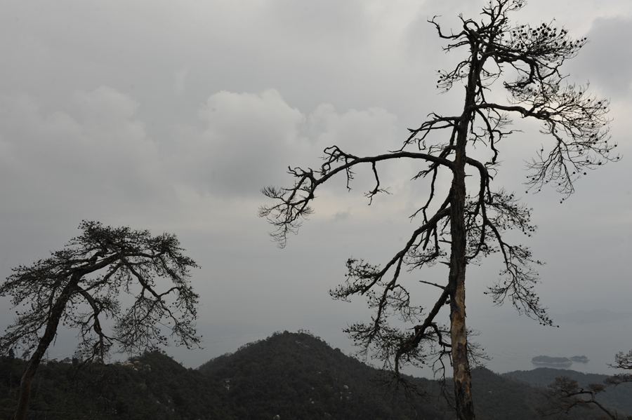 Mount Misen, Miyajima, Japan, 2015