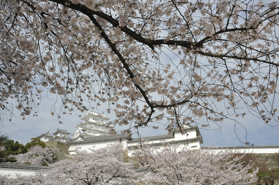 Himeji castle, Japan, 2015